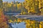 USA, Washington State. Autumn colors along the Methow River near Winthrop Art Print